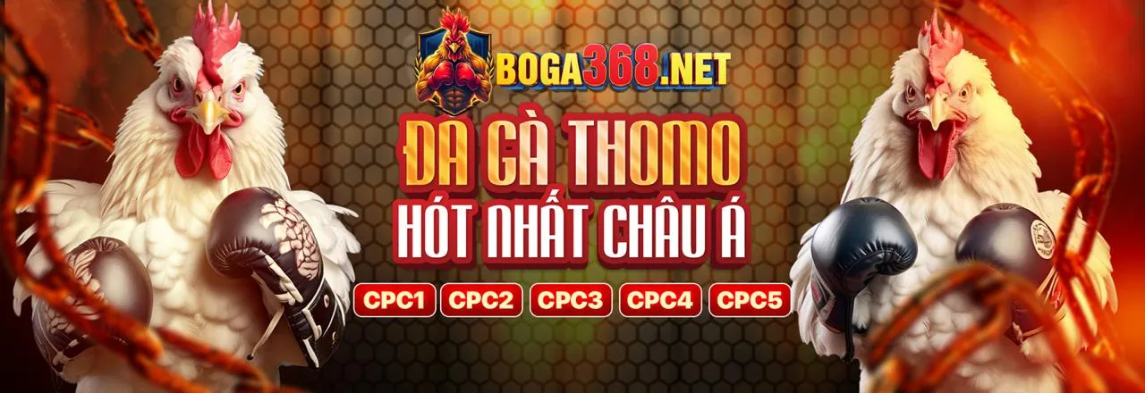 Đá gà trực tuyến kịch tính tại betcom888 login